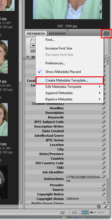 edit file details in adobe bridge